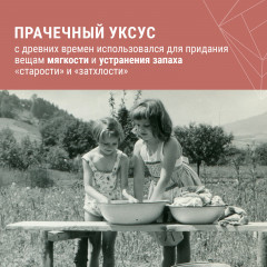 Уксус для стирки на мятной основе «Ревень и яблоко» - Фото 2
