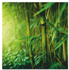 Картина на деревянном подрамнике «Бамбук» - Фото 1