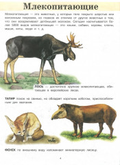 Животные - Фото 1