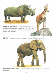 Животные - Фото 2