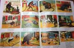 Владимир Дуров - Фото 4