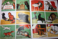 Владимир Дуров - Фото 5