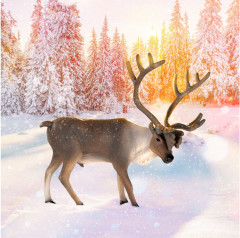 Фигурка «Северный олень» - Фото 2