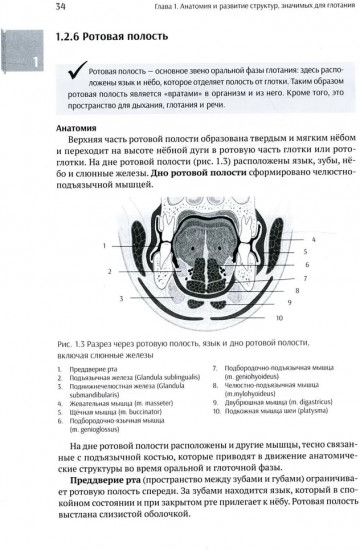 Нарушения глотания у детей
