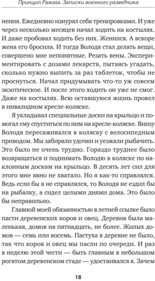 Принцип Рамзая. Записки военного разведчика