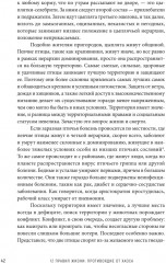 12 правил жизни. Противоядие от хаоса - Фото 4