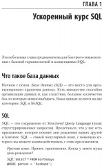 SQL. Pocket guide - Фото 1