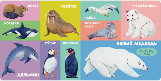100 животных