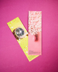 Конверт подарочный с набором мерча от Анны Джейн - Фото 5