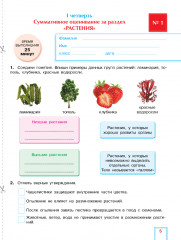 Естествознание. Критериальное оценивание. Суммативное оценивание за раздел, суммативное оценивание за четверть. 4 класс - Фото 1