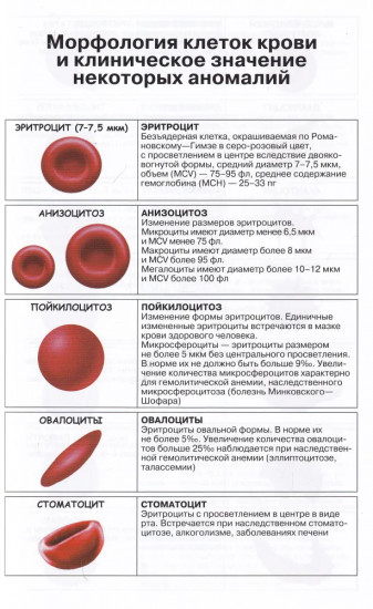 Клинический анализ гемограммы