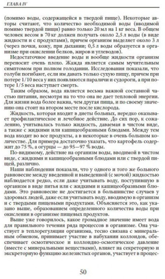 Основы лечебного питания