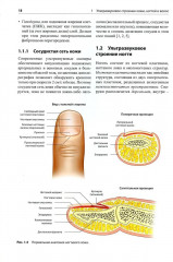 Атлас по ультразвуковому исследованию в дерматологии. Мягкие ткани, кожа, придатки кожи - Фото 4