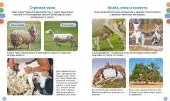 Полезные машины и животные фермы - Фото 3