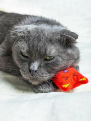 Игрушка для кошек «Котик» - Фото 3