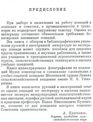 Экстерьер лошади - Фото 1