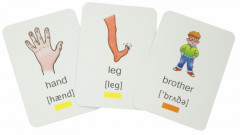 100 первых английских слов. Человек. Набор карточек - Фото 1