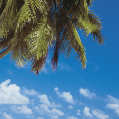 Фотообои «Maldives» (388 х 270 см) - Фото 1