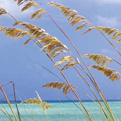 Фотообои «Ocean Breeze» (368 х 254 см) - Фото 1