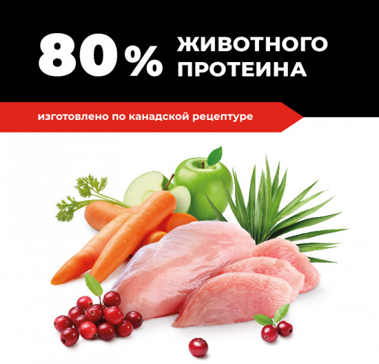 Корм для котят и кошек с курицей, фруктами и овощами