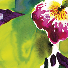 Фотообои «Viva» (184 х 254 см) - Фото 1