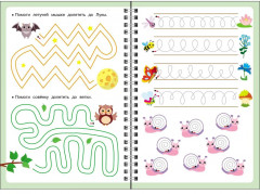Цифры, дорожки и линии. Многоразовые прописи - Фото 1