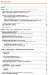 Принципы гормональной регуляции и работы сигнальных путей - Фото 1