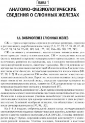 Слюнные железы. Развитие, анатомия, физиология, заболевания и их лечение - Фото 3