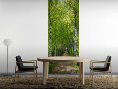 Фотообои «Birkenallee» (92 х 220 см) - Фото 2