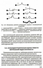 Практикум по клинической эхокардиографии. Руководство для врачей - Фото 10
