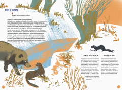 Волга. Один год из жизни пресноводного биома - Фото 6