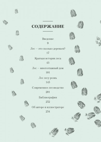 Загадки леса. Удивительная жизнь зелёной экосистемы планеты
