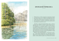 Загадки леса. Удивительная жизнь зелёной экосистемы планеты - Фото 6