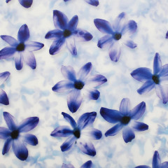 Бумага упаковочная транспарентная «Гиацинт» - Фото 3