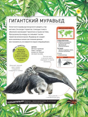 Удивительные животные. Полная энциклопедия - Фото 6