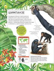 Удивительные животные. Полная энциклопедия - Фото 7