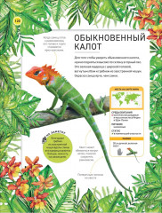 Удивительные животные. Полная энциклопедия - Фото 9