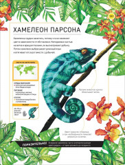 Удивительные животные. Полная энциклопедия - Фото 10