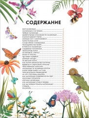 Детская энциклопедия насекомых - Фото 1
