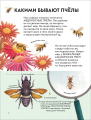 Детская энциклопедия насекомых - Фото 2