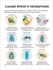 Детская энциклопедия насекомых - Фото 4