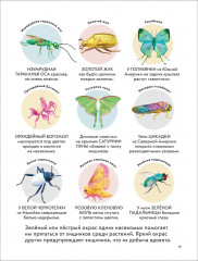 Детская энциклопедия насекомых - Фото 5