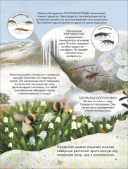 Детская энциклопедия насекомых - Фото 7