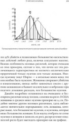 Тестостерон. Гормон, который разделяет и властвует - Фото 11