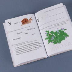 Букварь - Фото 5