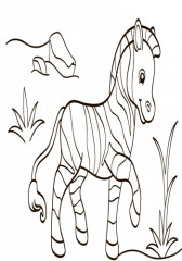 Водная раскраска «Экзотические животные» - Фото 4