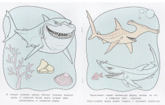 Водная раскраска «Чудо-рыбки» - Фото 1