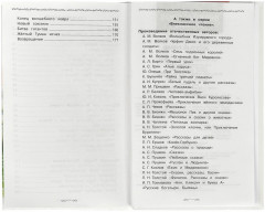 Книга «А. М. Волков. Жёлтый туман» - Фото 2