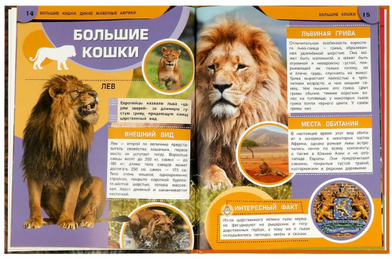 Большие кошки. Дикие животные Африки