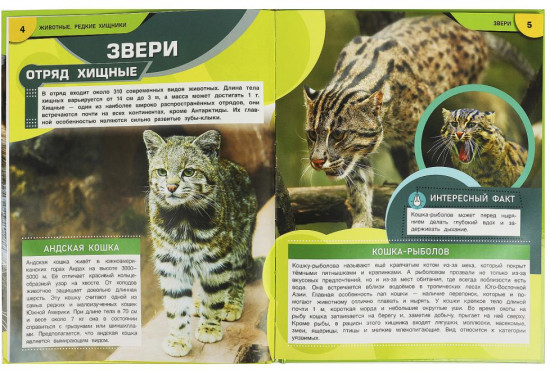 Животные. Редкие хищники